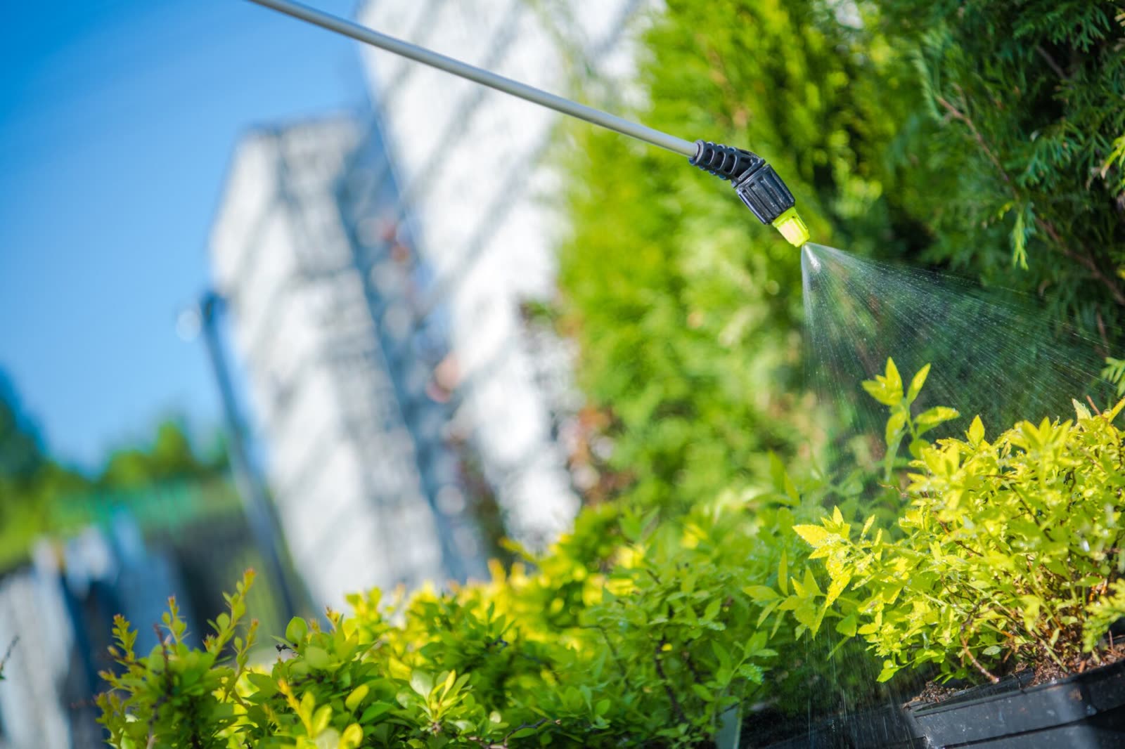 Integrated Pest Management